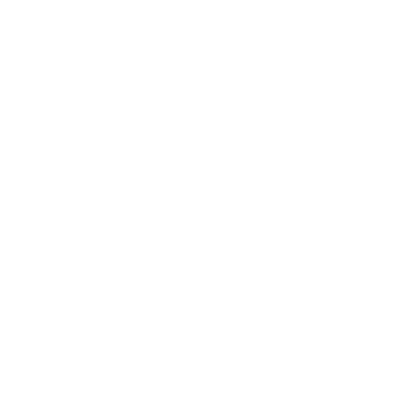 The Home Store
